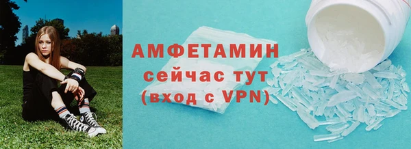 ПСИЛОЦИБИНОВЫЕ ГРИБЫ Вязники