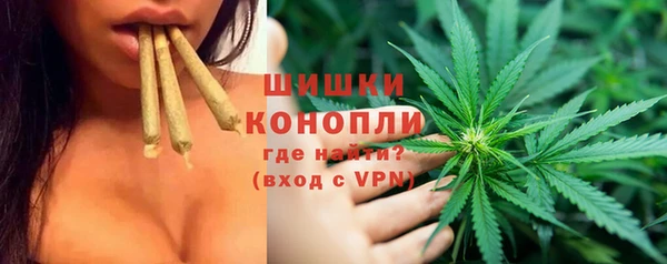 ПСИЛОЦИБИНОВЫЕ ГРИБЫ Вязники