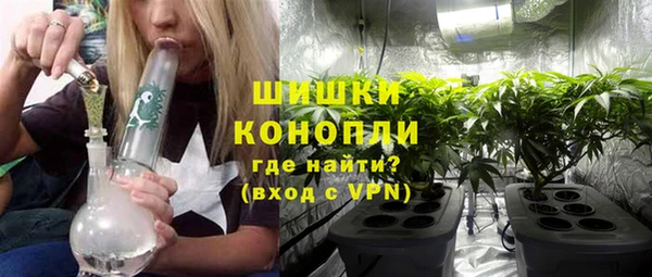 ПСИЛОЦИБИНОВЫЕ ГРИБЫ Вязники
