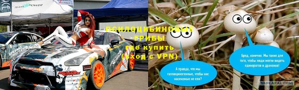 ПСИЛОЦИБИНОВЫЕ ГРИБЫ Вязники