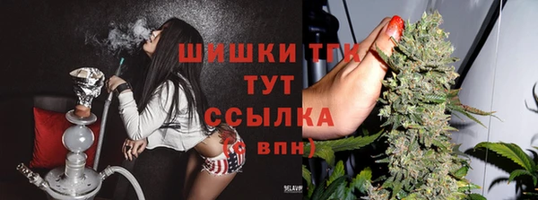 ПСИЛОЦИБИНОВЫЕ ГРИБЫ Вязники