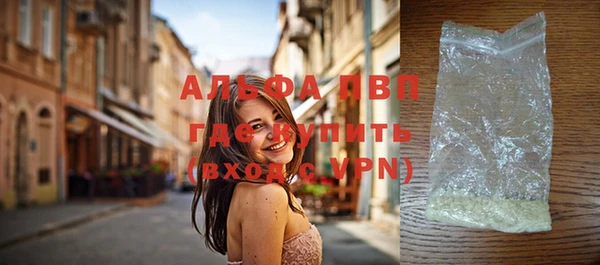 дмт Вяземский